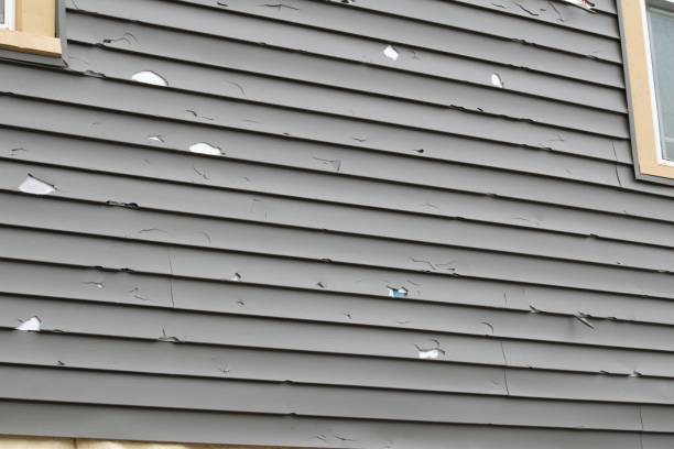 Best Shed Removal  in Anamosa, IA